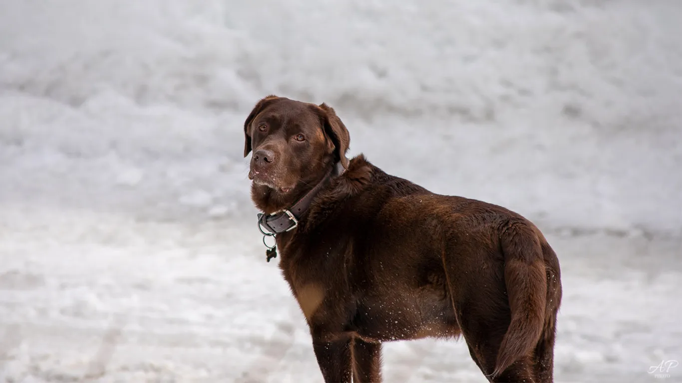 Photo of Val Roseg (2).